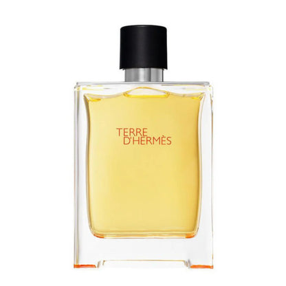 TERRE D HERMES EDT 100 ML - HERMES