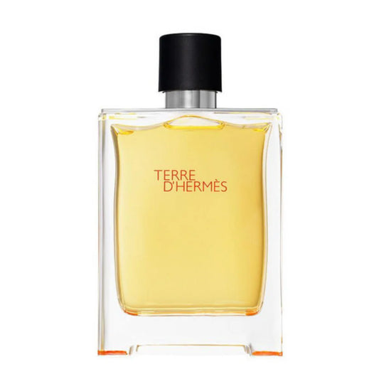 TERRE D HERMES EDT 100 ML - HERMES